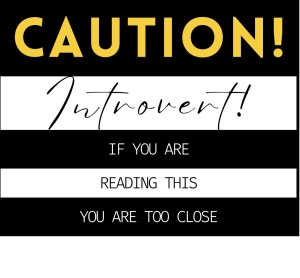 Introvert, hermit, healing journey, chain breaking mom