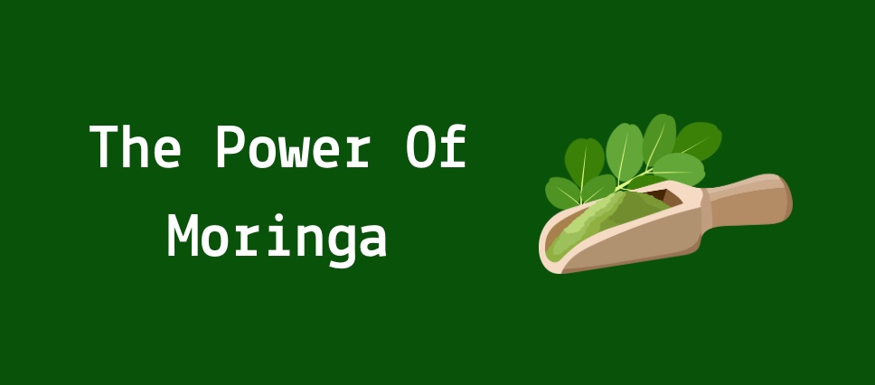 What is moringa